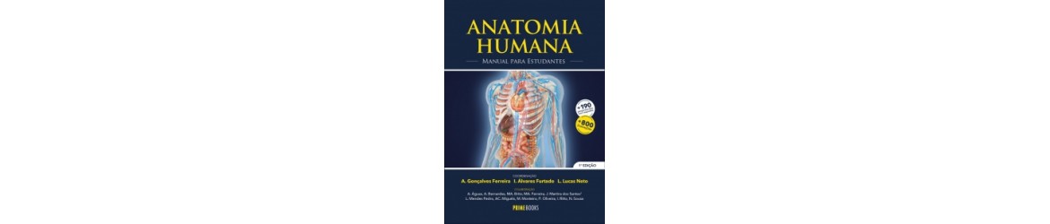 anatomia